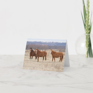 Cartão De Agradecimento Três Mustangs Selvagens