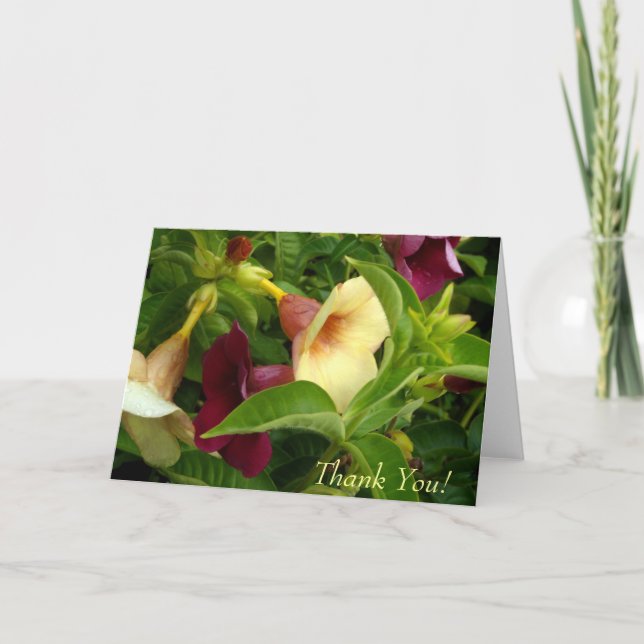 Cartão de Agradecimento Trombeta Dourada (Frente)