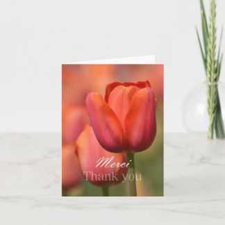 Cartão De Agradecimento Tulip Rosa Merci Obrigado Notecard