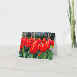 Cartão De Agradecimento Tulipas Vermelhas - Notecard