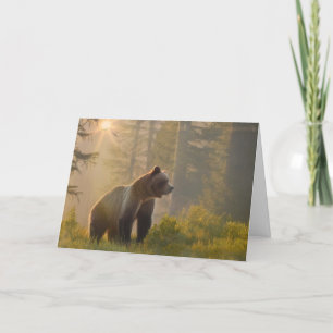 Cartão De Agradecimento Um Beary Happy Birthday