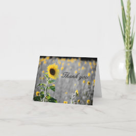 Cartão De Agradecimento Um Campo de Girassóis em Preto e Branco