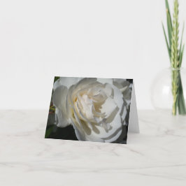 Cartão De Agradecimento um delicado hálito branco de pureza e inocência