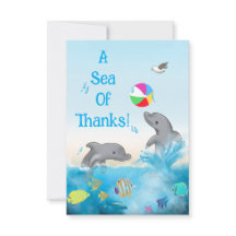 Um Mar de Gratidão Golfinho Oceano