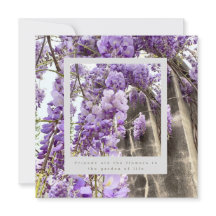 Uma carta para amizade