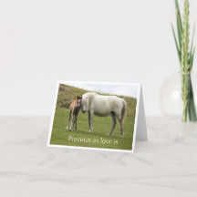 Uma carta sobre o amor