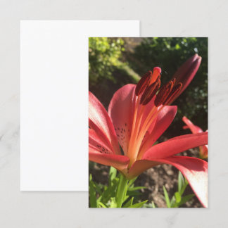 Cartão De Agradecimento Uma dica da placa Z "Flor Vermelho Sólido"