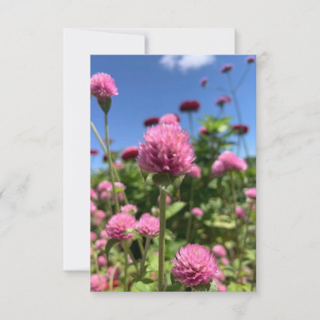 Cartão De Agradecimento Uma dica da placa Z "Rosa Floral" (Frente)