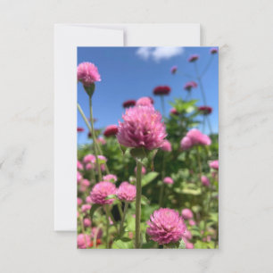 Cartão De Agradecimento Uma dica da placa Z "Rosa Floral"
