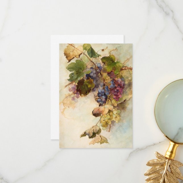 Cartão De Agradecimento Uma Vinha de Uvas por Franz Bischoff (Frente/Verso In Situ)