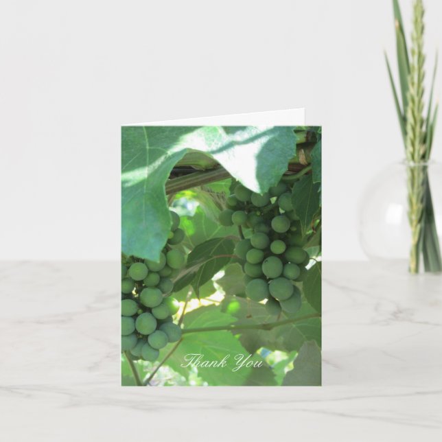 Cartão De Agradecimento Uvas nas Videiras Obrigado (Frente)
