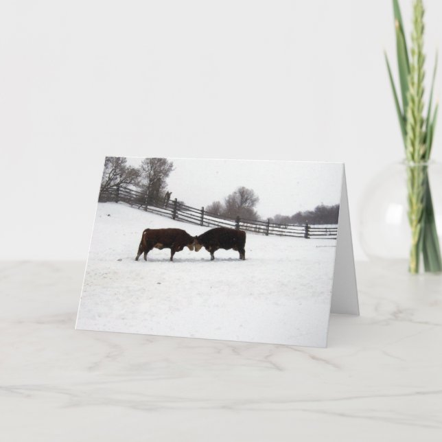 Cartão De Agradecimento Vacas Cabeça A Cabeça (Frente)