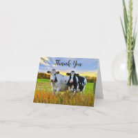 Vacas Holstein No Outono Obrigado Nota