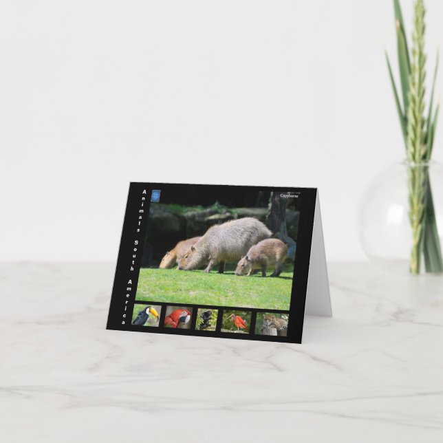 Cartão De Agradecimento Vários animais da América do Sul (Frente)