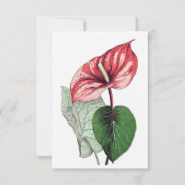 Cartão De Agradecimento Vazio de Flor Tropical de Anthurium