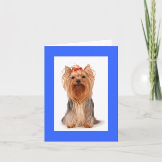 Cartão De Agradecimento Vazio Yorkshire Terrier Puppy Dog Notecard (Frente)