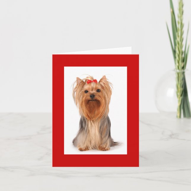 Cartão De Agradecimento Vazio Yorkshire Terrier Puppy Dog Notecard (Frente)