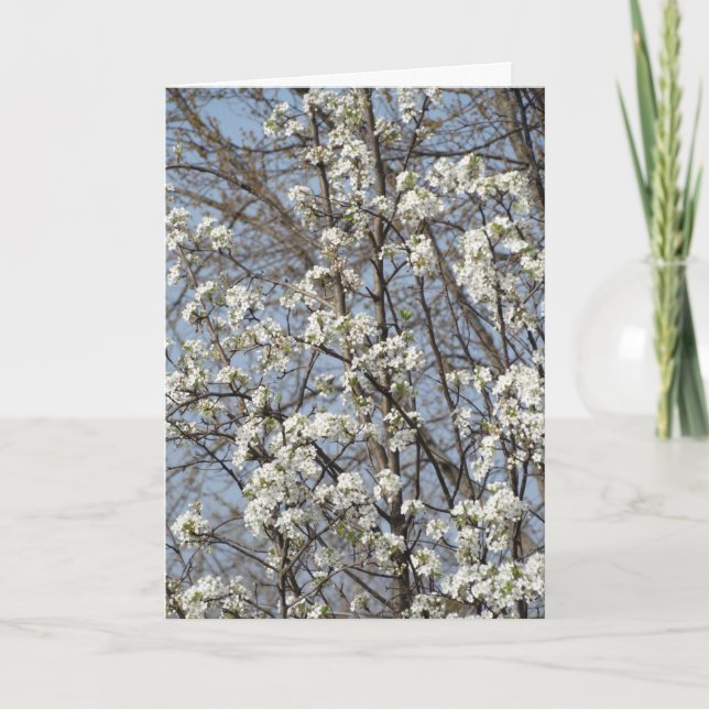 Cartão De Agradecimento Velho Amigo Através das Estações da Vida (Frente)