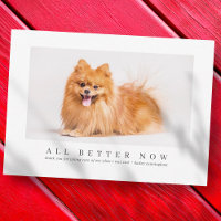 Veterinária de Obrigados Personalizados de Pet Sim