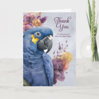Veterinário Obrigado Hyacinth Macaw Nome do papaga