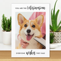 Veterinário Personalizado Pet Dog Foto Veterinária