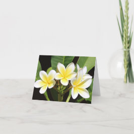 Cartão De Agradecimento Vietnamita Frangipani All Occasion Notecard