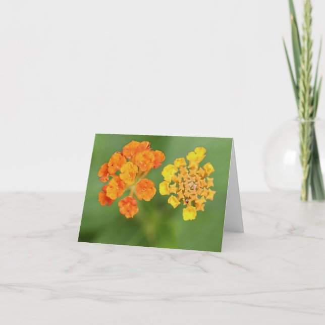 Cartão De Agradecimento Vietnamita Lantana All Occasion Notecard (Frente)