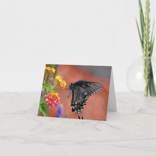 Cartão De Agradecimento Vietnamita Lantana All Occasion Notecard (Frente)