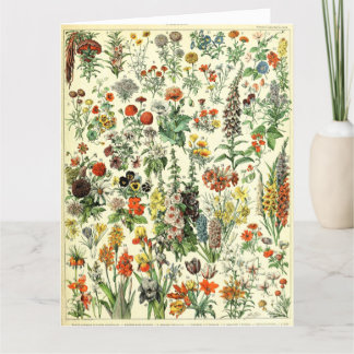 Cartão De Agradecimento Vintage Botanical Fleurs Poster Postcard