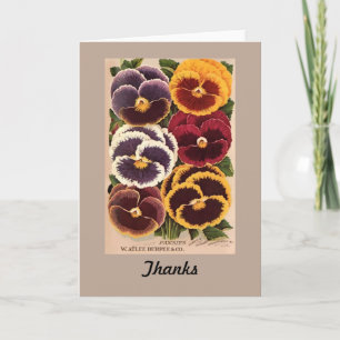 Cartão De Agradecimento Vintage Burpee Assorted Pansies