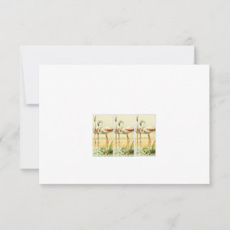 Cartão De Agradecimento Vintage Flamingo