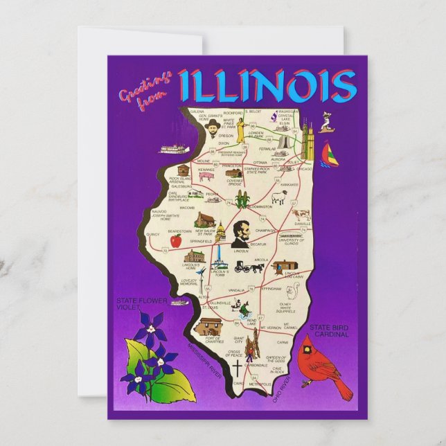 Cartão De Agradecimento Vintage Illinois Greetings 5x7 Big Postcard (Frente)