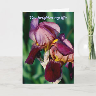 Cartão De Agradecimento Você anima minha vida