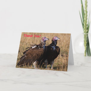 Cartão De Agradecimento Vulture Pair Thank You Card