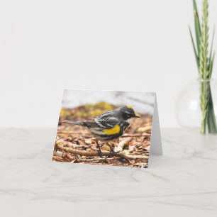 Cartão De Agradecimento Warbler Amarelo nº 1 - Placa de Nota de Vazio
