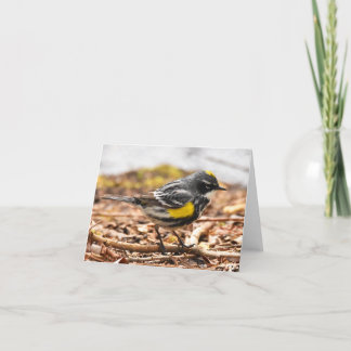 Cartão De Agradecimento Warbler Amarelo nº 1 - Placa de Nota de Vazio