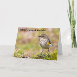 Cartão De Agradecimento Warbler Amarelo-Rumado fêmea
