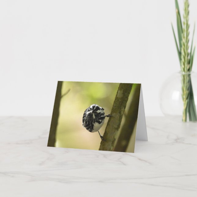 Cartão De Agradecimento Warbler Preto e Branco #2 - Placa de Nota do Vazio (Frente)