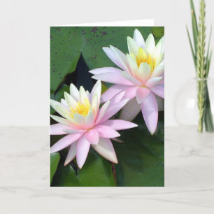 Cartão De Agradecimento Water Lilies