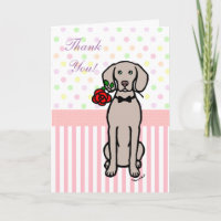 Weimaraner e Rosa