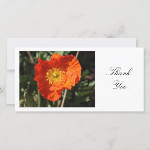 Cartão De Agradecimento Welsh Poppy (Laranja) - Obrigado