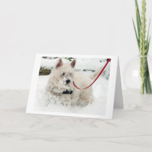 Cartão De Agradecimento Westie greetings card birthday thankyou get w etc.