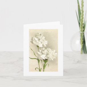Cartão De Agradecimento White Carnation Thinking of You/Thank You Card