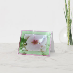 Cartão De Agradecimento White Cherry Blossom Reflections  Note Card