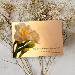 Cartão De Agradecimento White Daffodils Obrigado pela sua simpatia