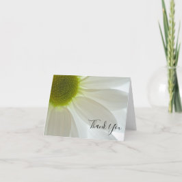 Cartão De Agradecimento White Daisy Petals Obrigado