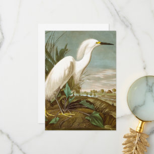 Cartão De Agradecimento White Heron por John James Audubon