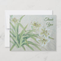 White Lily
