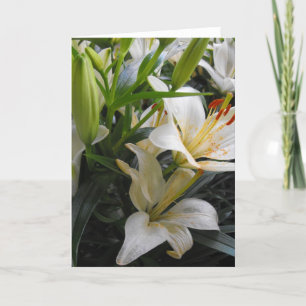 Cartão De Agradecimento White lily flowers blank greeting card