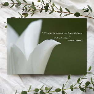 Cartão De Agradecimento White Tulip Obrigado pela sua simpatia